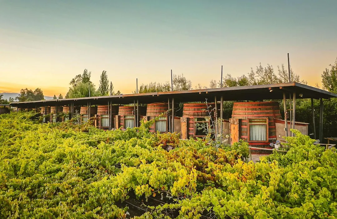 Cava Colchagua Hotel Boutique-1