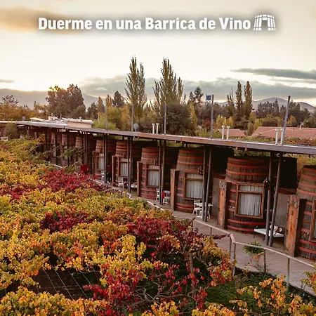 Cava Colchagua Hotel Boutique-2